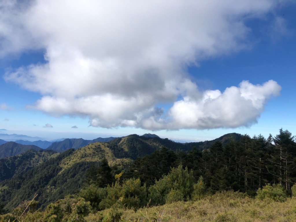 雪山西稜+大安溪神木_753086