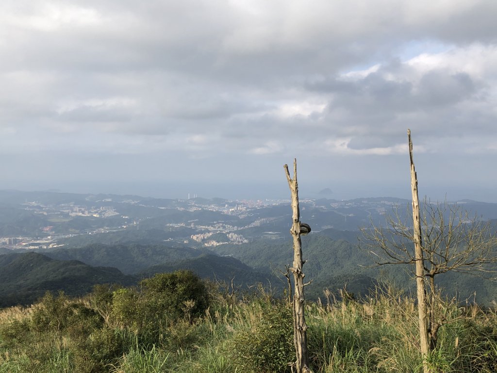 台灣小百岳No.011姜子寮山_908434
