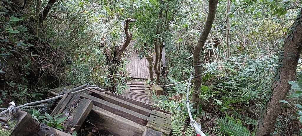 20230805_獅仔頭山步道_2239972