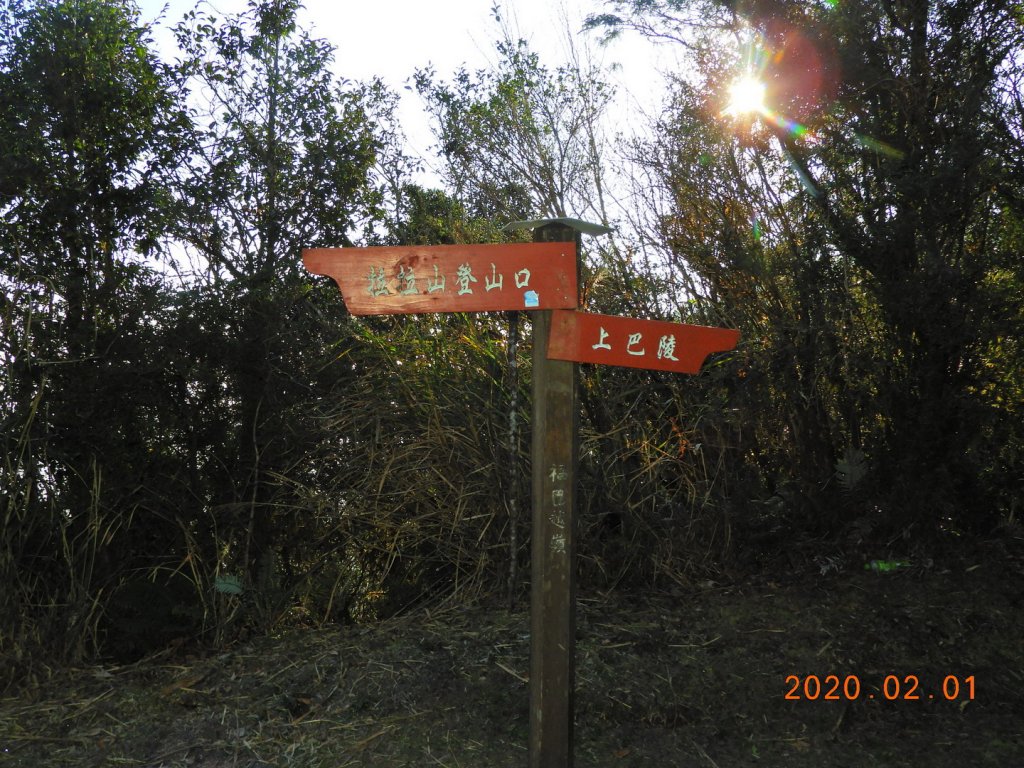 桃園 復興 拉拉山_820546