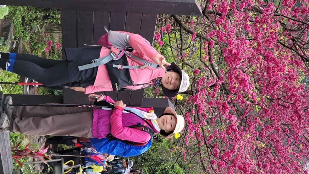 賞花+爬山健行-20240224_2436935