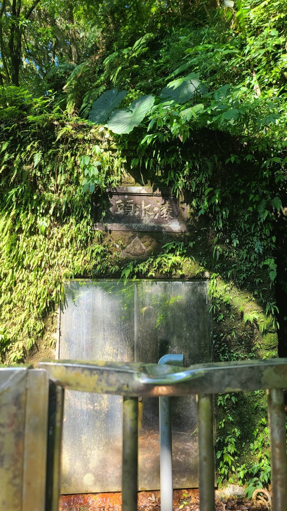 2026-0213 苗圃-凱達格蘭山-七星錐-七星山南峰-小油坑-竹子湖-水車寮步道-湖田猴崁步道-_3005724