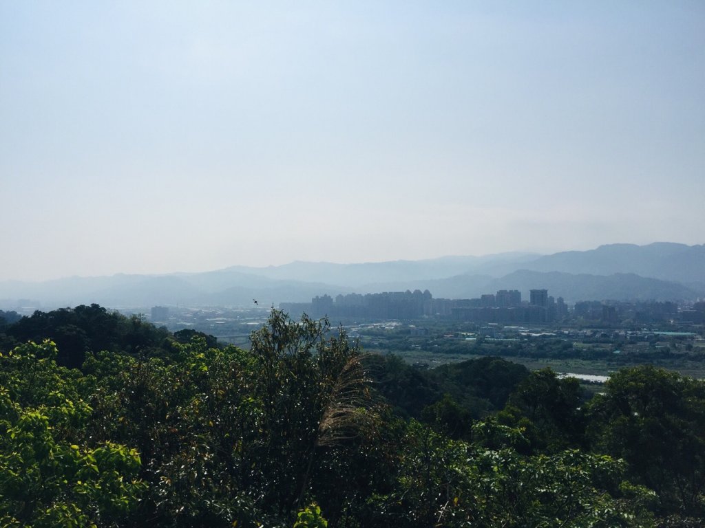 鶯歌（鶯歌石）_562977