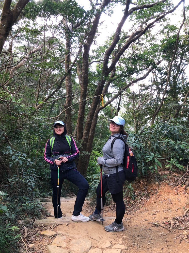 2020.03.08里龍山_878251