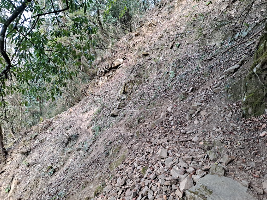 一日白雪村_2039684