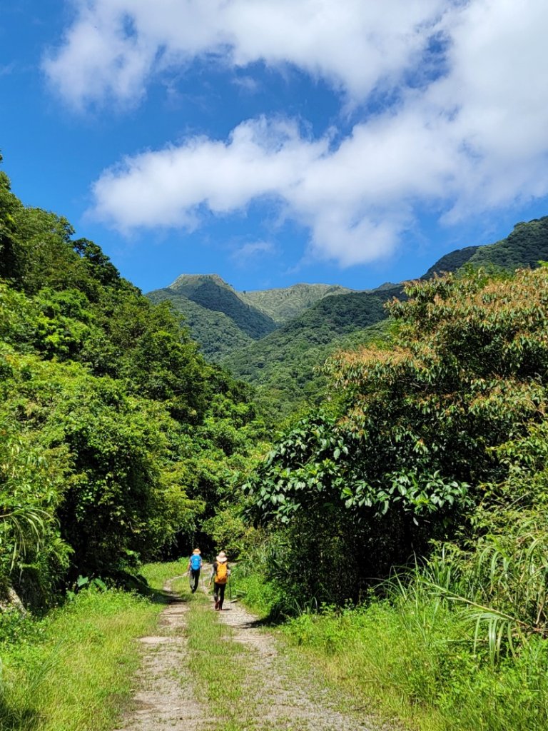 鹿角坑楓林瀑布-20240728_2601318