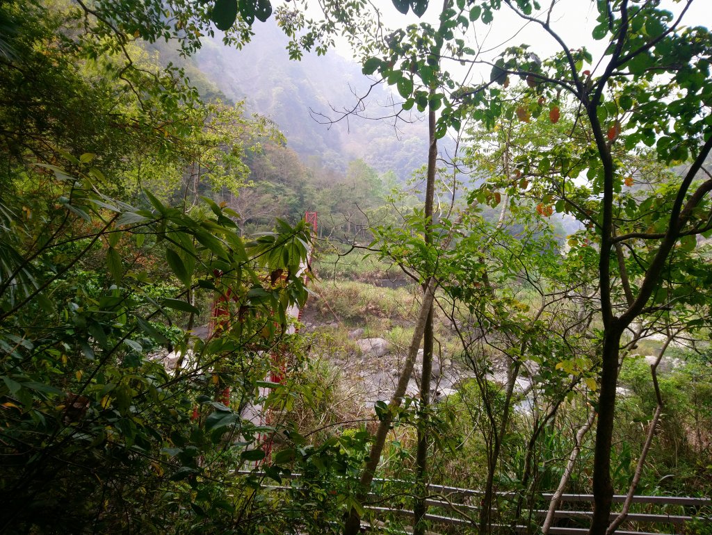 虎山 由易到難 漸進式 健身步道_855814