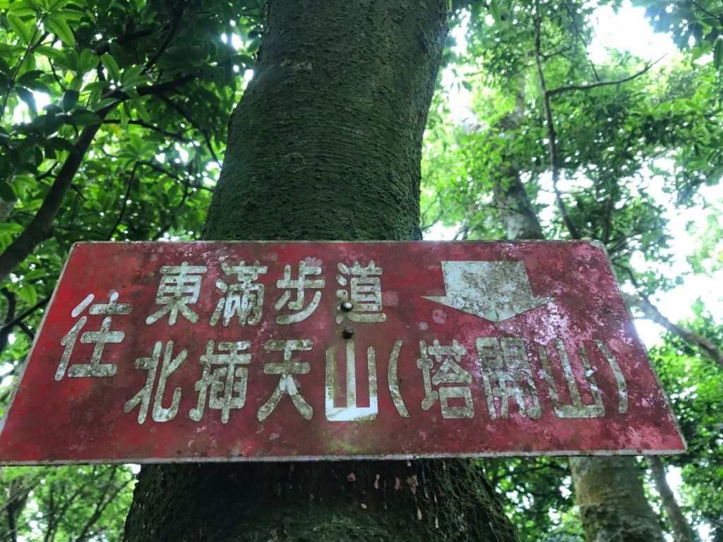 東眼山封面圖