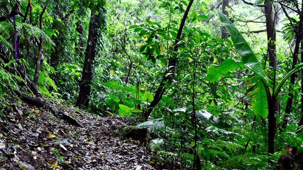 淡蘭古道中路（闊瀨崩山坑環線）_989147