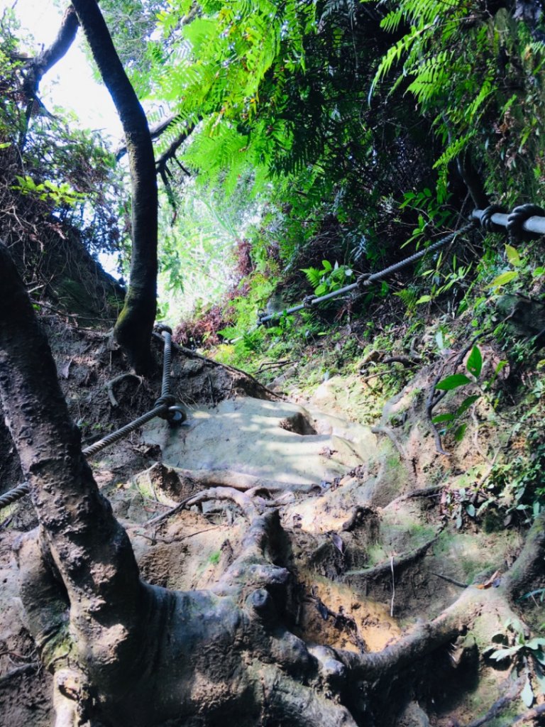 猴山岳小攀岩封面圖