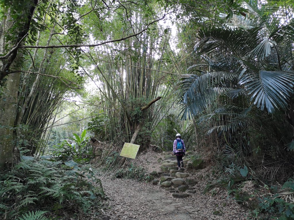 溪州山假日逍遙封面圖