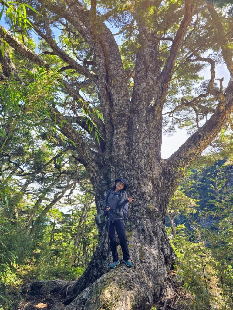 20240913 東霸尖山出北稜_2614309