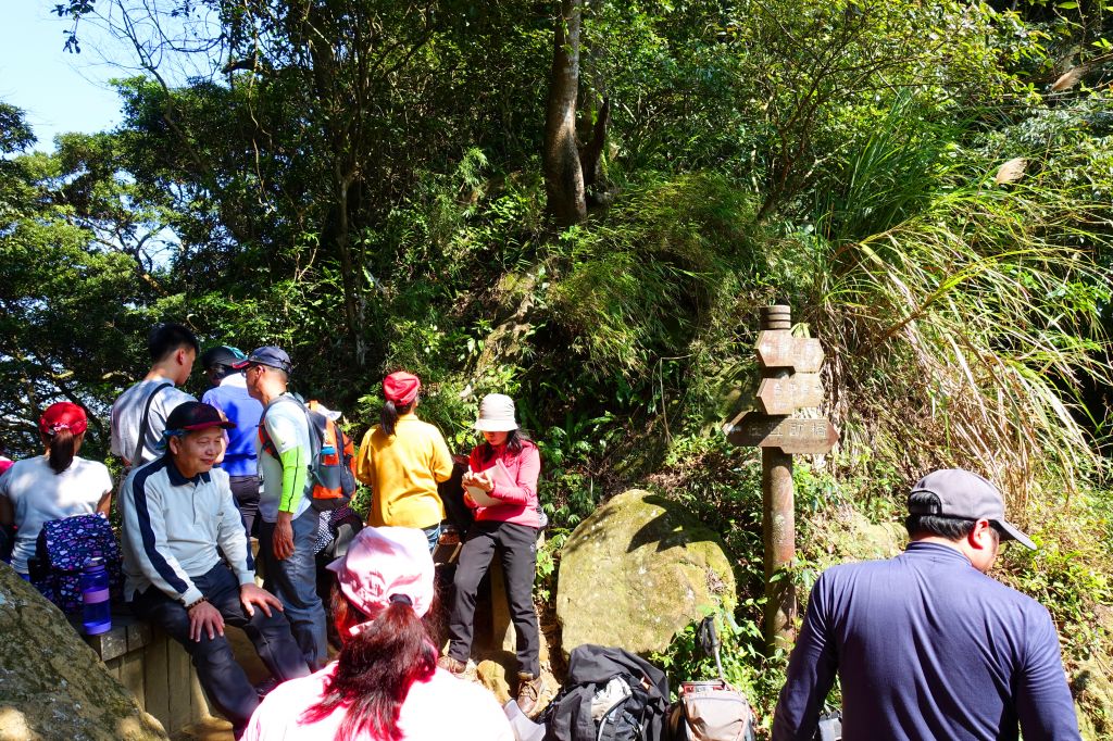 五寮尖 O型 2018.02.18_294554