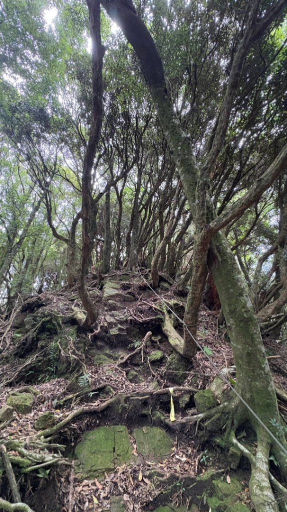 加里山東南峰_2845151