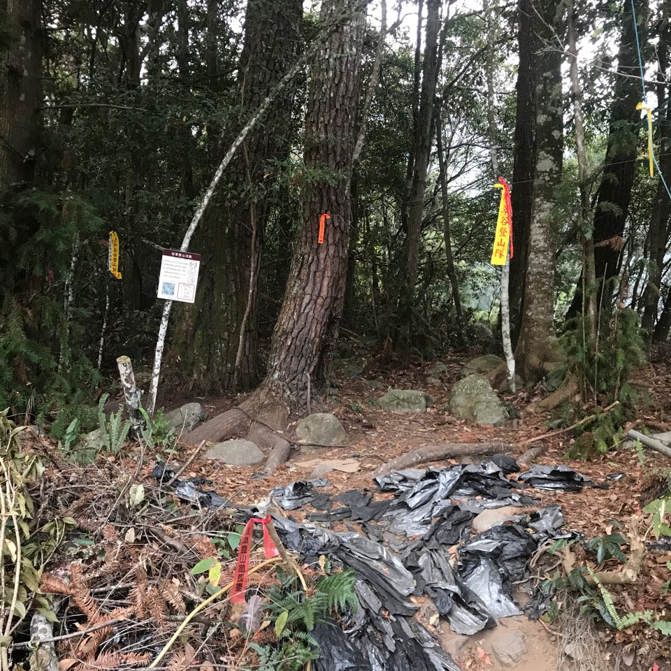 谷關七雄 馬崙山（老二）2023.03.04_2051361