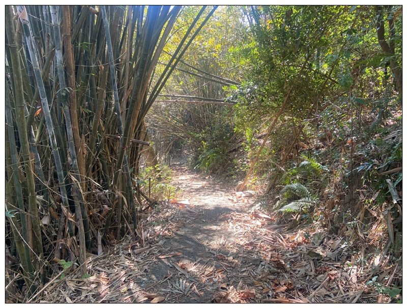 后里 七星山 新發現基石_2990045