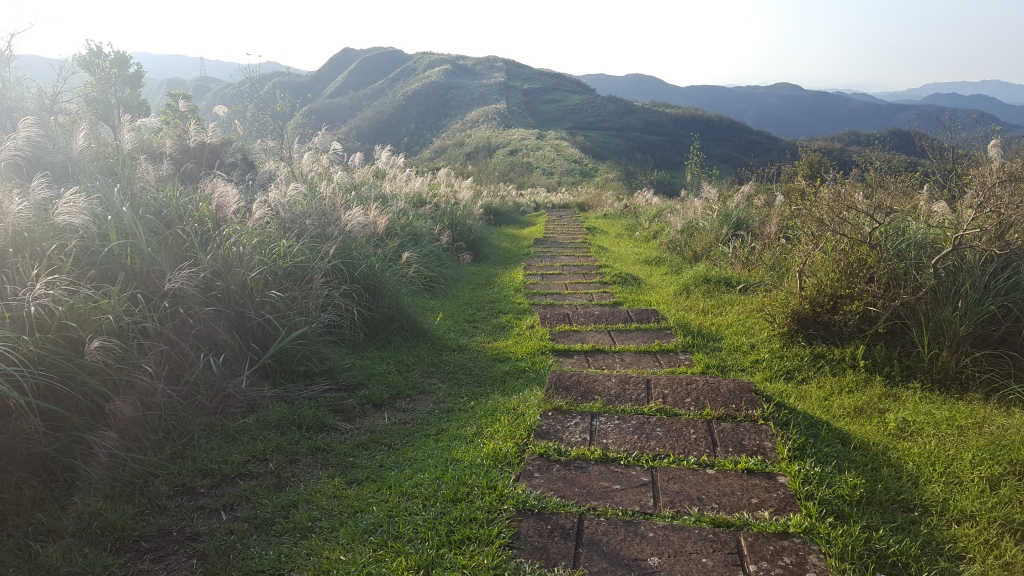 天芒芒，海蒼蒼。封面圖