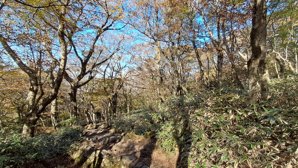 濟州島漢拏山-御里牧路線下_2942730