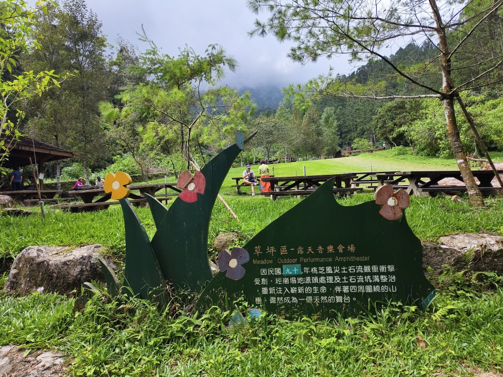 [百山百鳥尋旅-05/15] 2025_0830 溪頭賞鳥步道_觀景步道_2875594