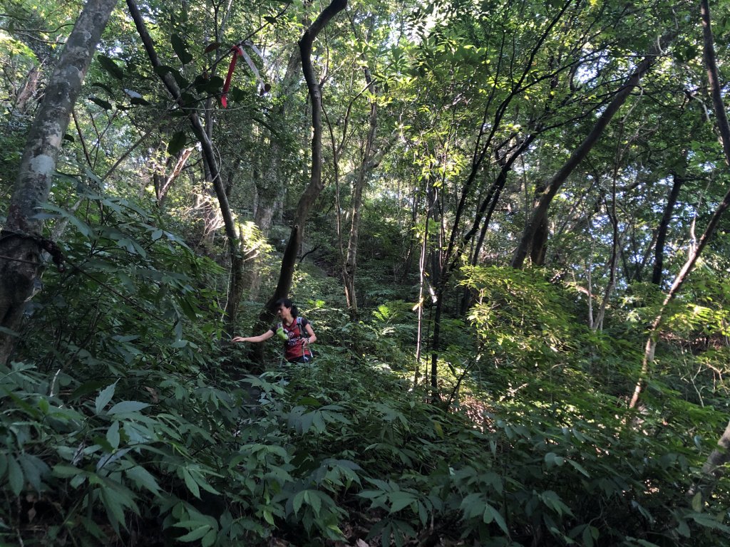 三芝｜青山瀑布。老梅冷泉_1032873