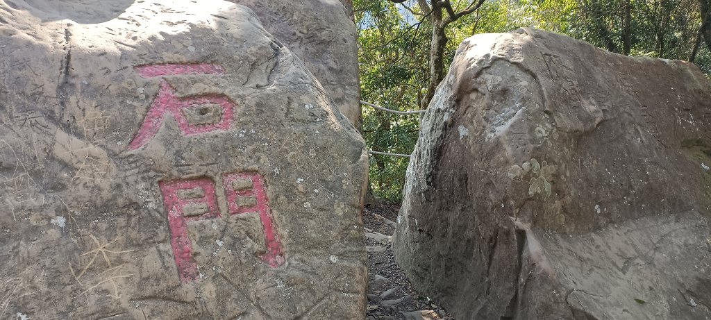 20240224_馬那邦山、細道邦山步道_2436118