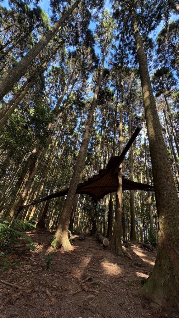 鵝黃色的優雅_2960246