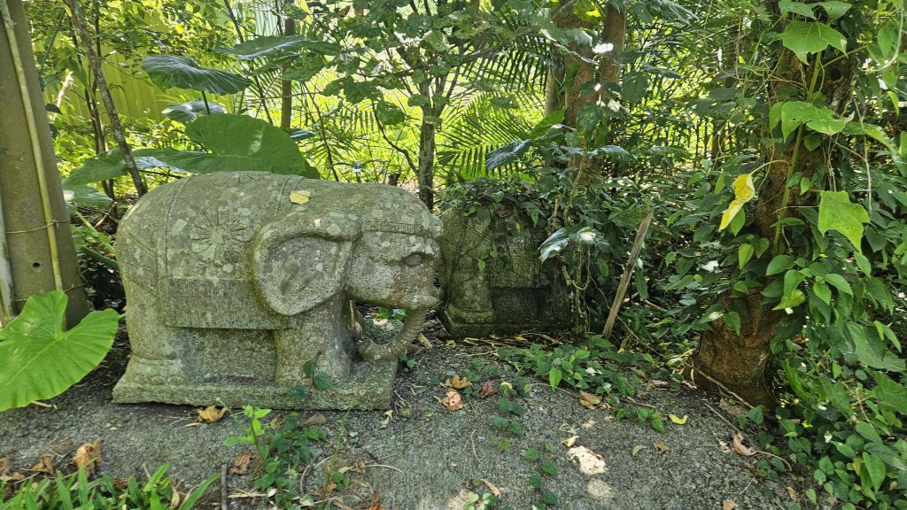 20250621叢雲山-740峰O型封面圖