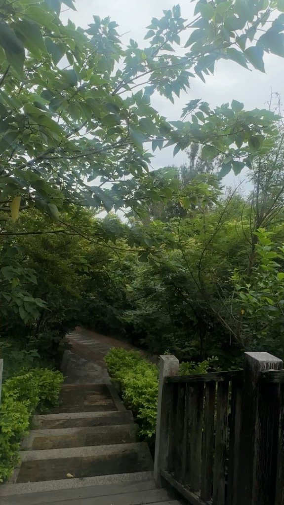 苗栗後龍-好望角_2616111