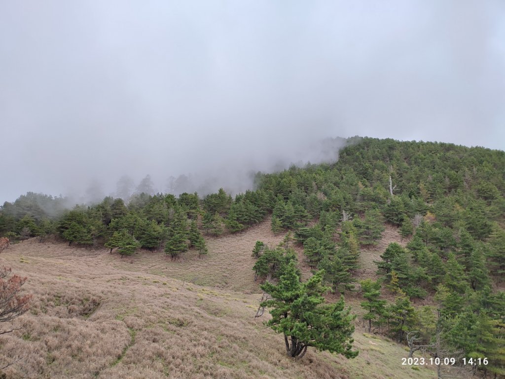 對關山逆上郡大下開高山O行_2342928