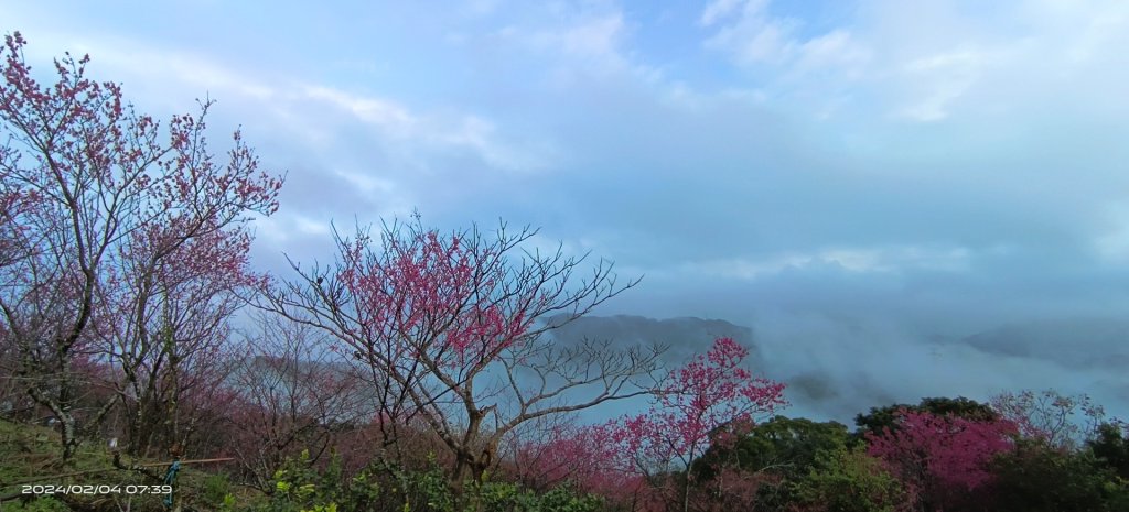 石碇趴趴走追雲趣-星空夜景/曙光日出雲海&差強人意流瀑/霧虹&月亮山櫻花&茶園梅花_2418436