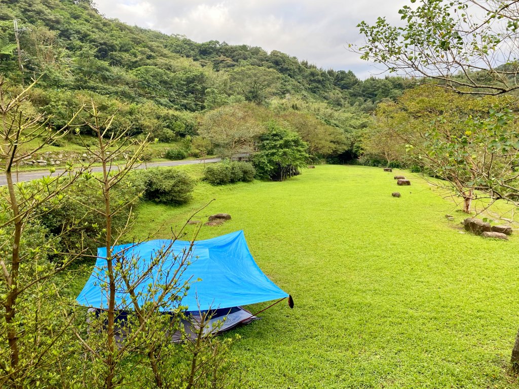 草嶺古道賞芒趣    2021/11/15_1518372