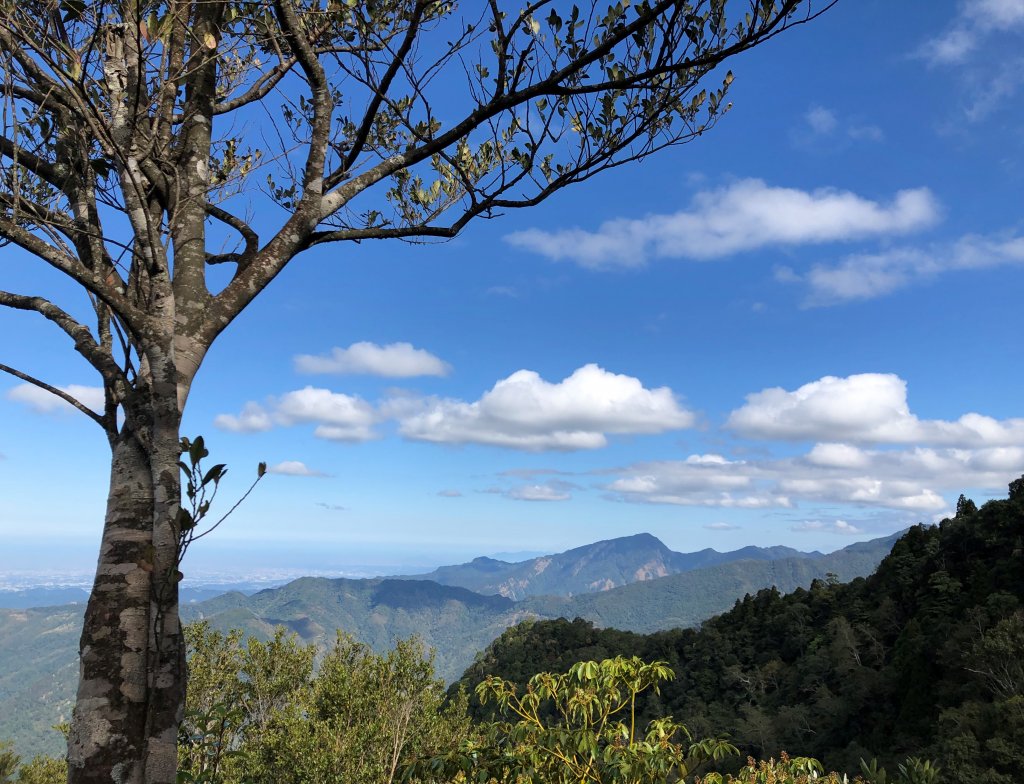 高島縱走：經典的中級山縱走路線封面圖