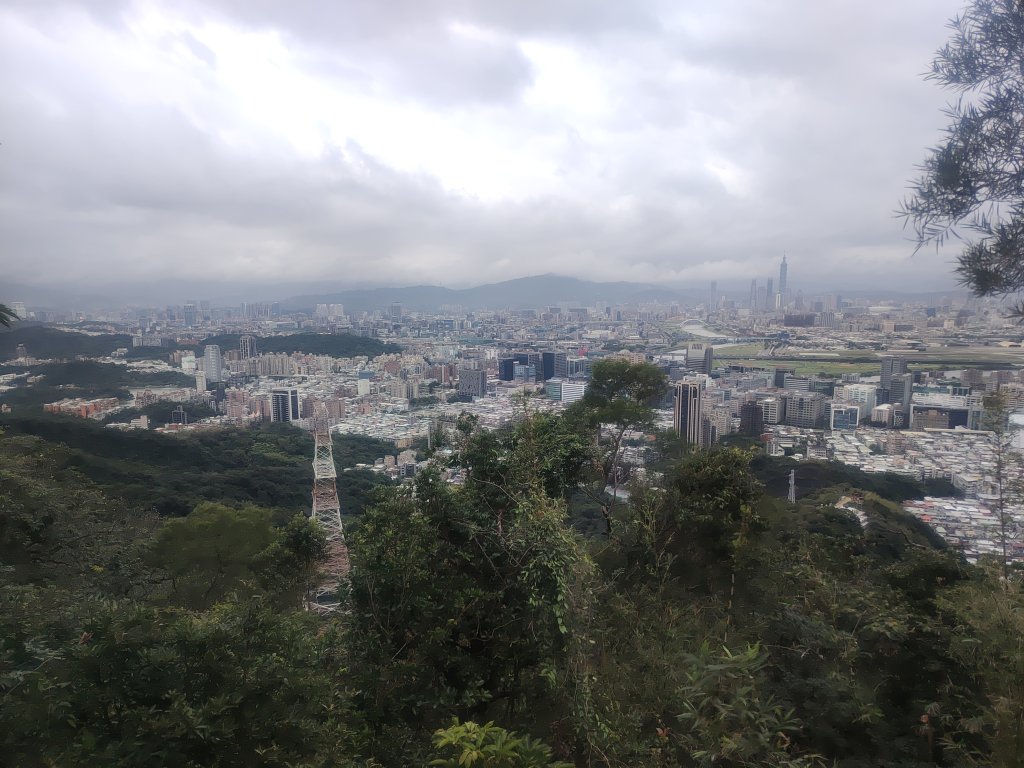金面山親山步道_2664150