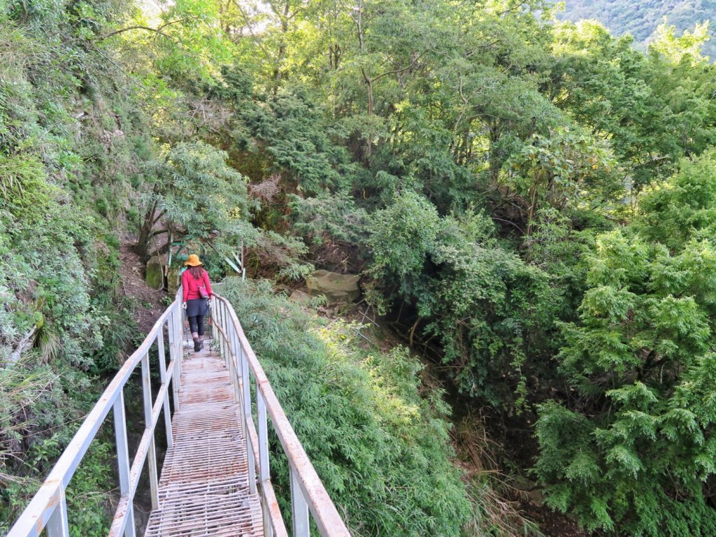 石山引水道 鹿林前山瀑布 鹿林神木_1741132