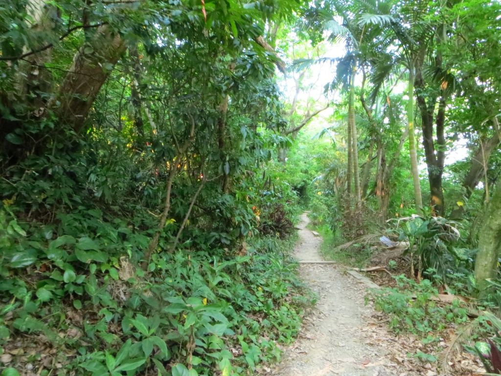 圓山劍潭山_文間山_東吳大學環山步道_407715