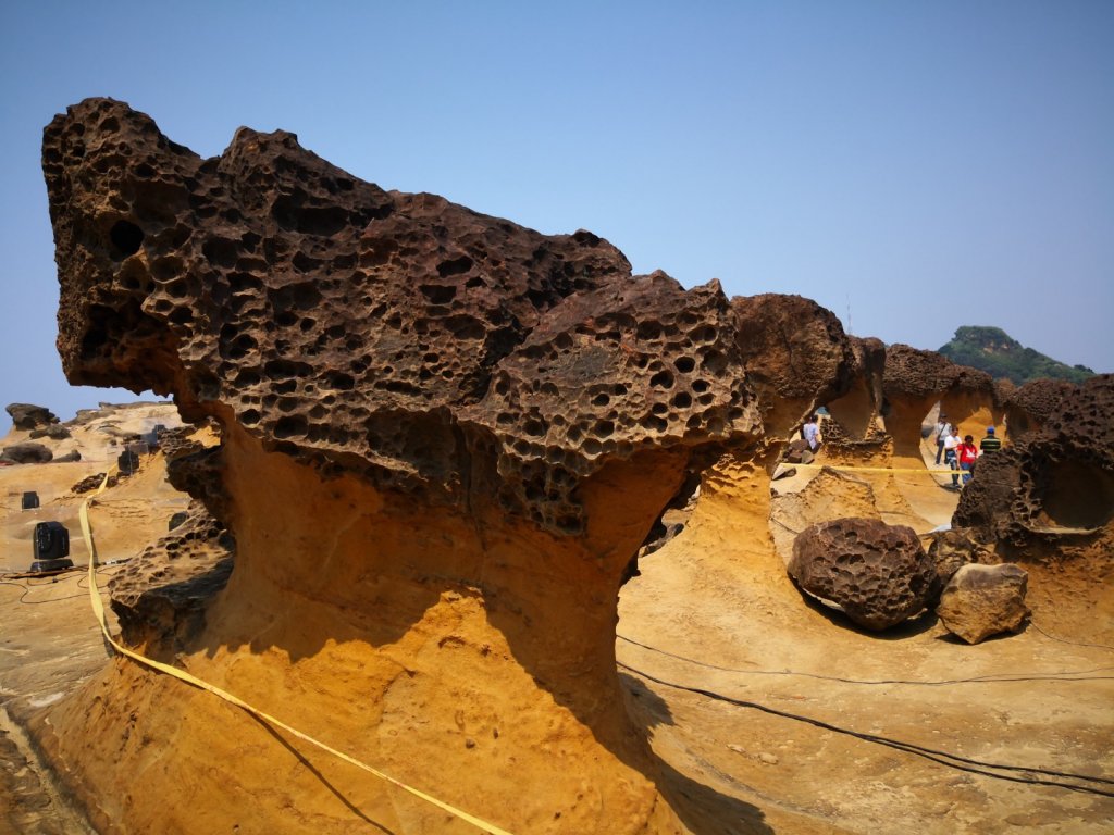 108.04.08野柳地質公園_562471