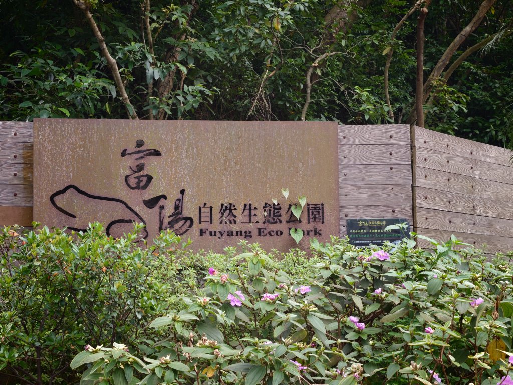 [淡蘭古道] 2026_0523 南路第一段_富陽自然生態步道封面圖