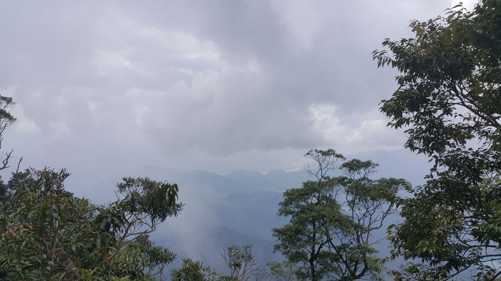 水社大山登山步道 2017 09 15_166505