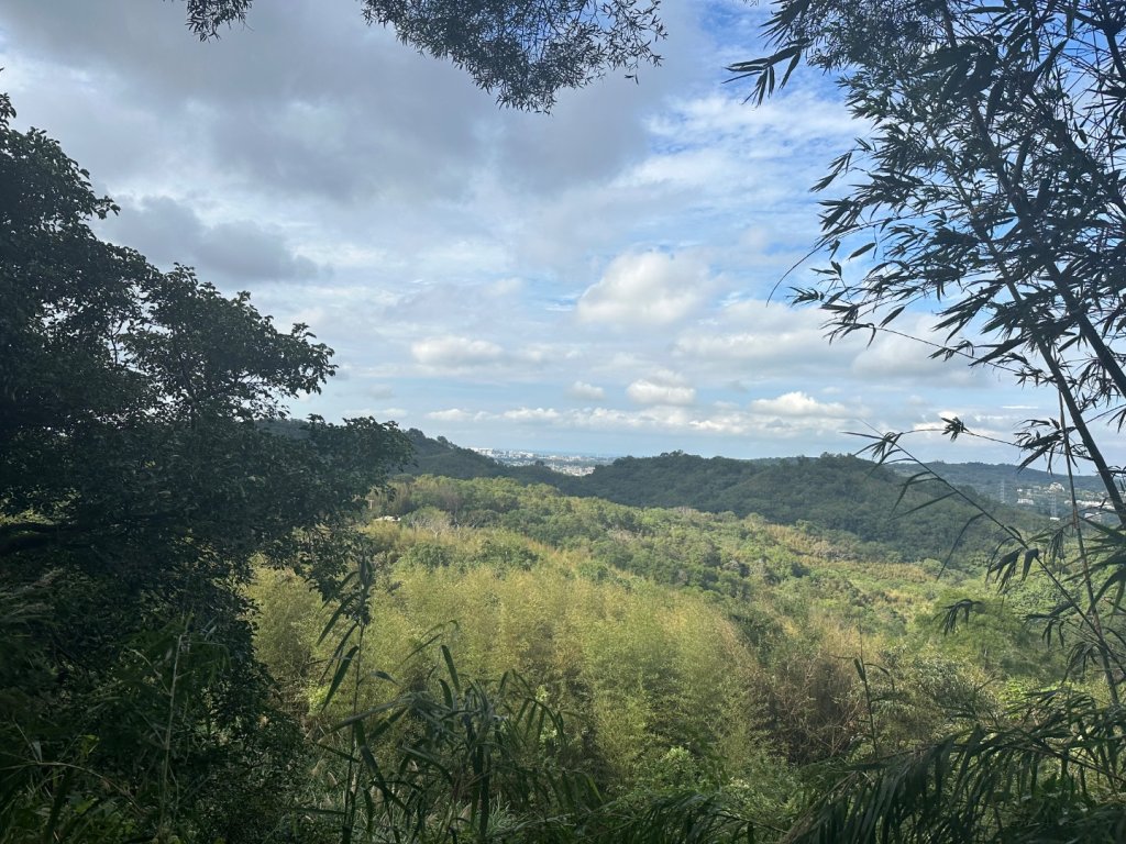 苗栗三灣-龍峎頂古道_2623353