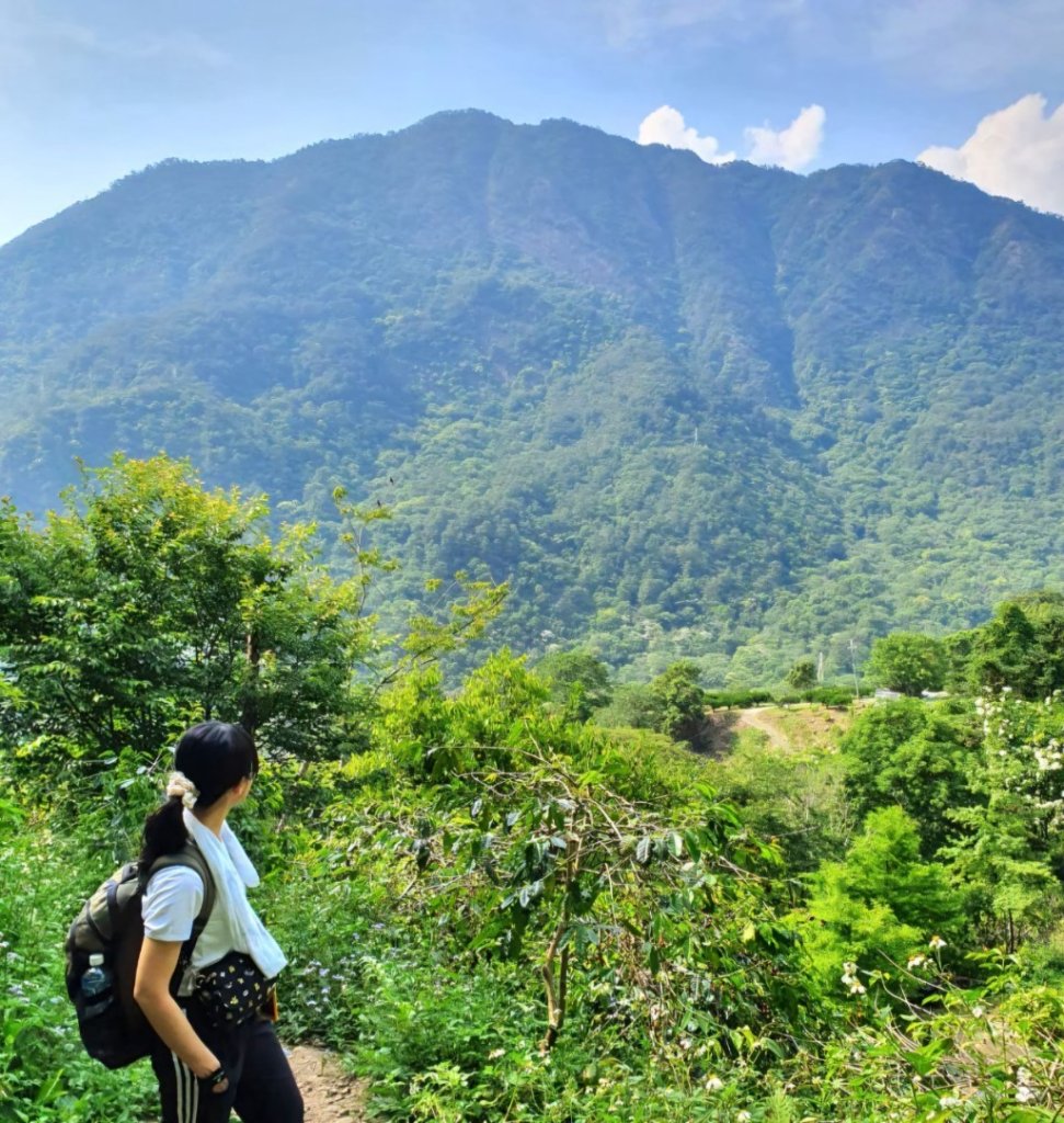 【中級山】谷關七雄唐麻丹山，連走蝴蝶谷瀑布_2741031