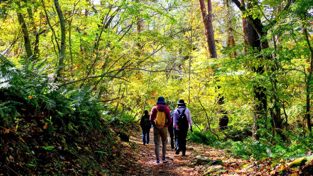 福島縣五色沼_2929379