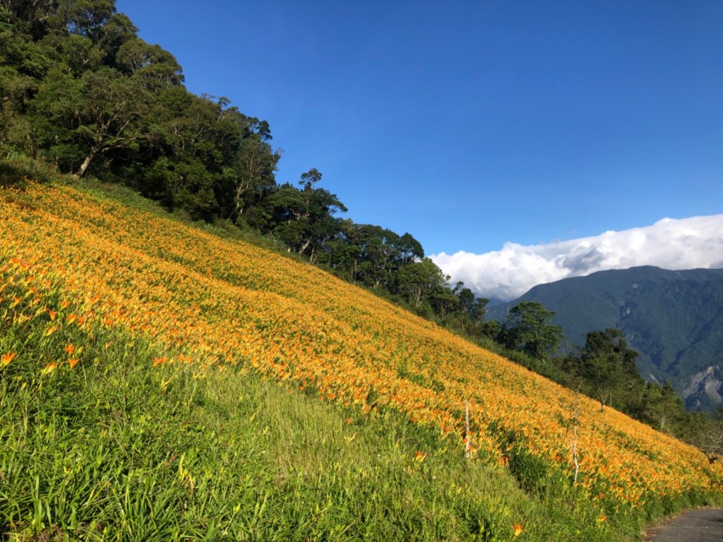 台東市利家3-1016、台東市卑南社3-4222、台東縣太麻里鄉小百岳NO.94太麻里山一等三角點_2246808