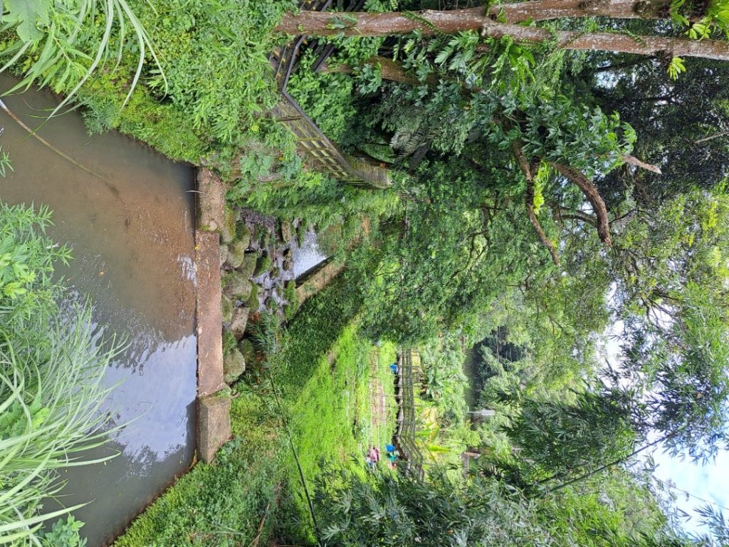 2026微笑山線烘爐地土地公段封面圖