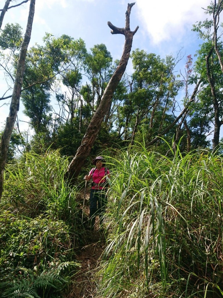 滿水的少女湖_1456228