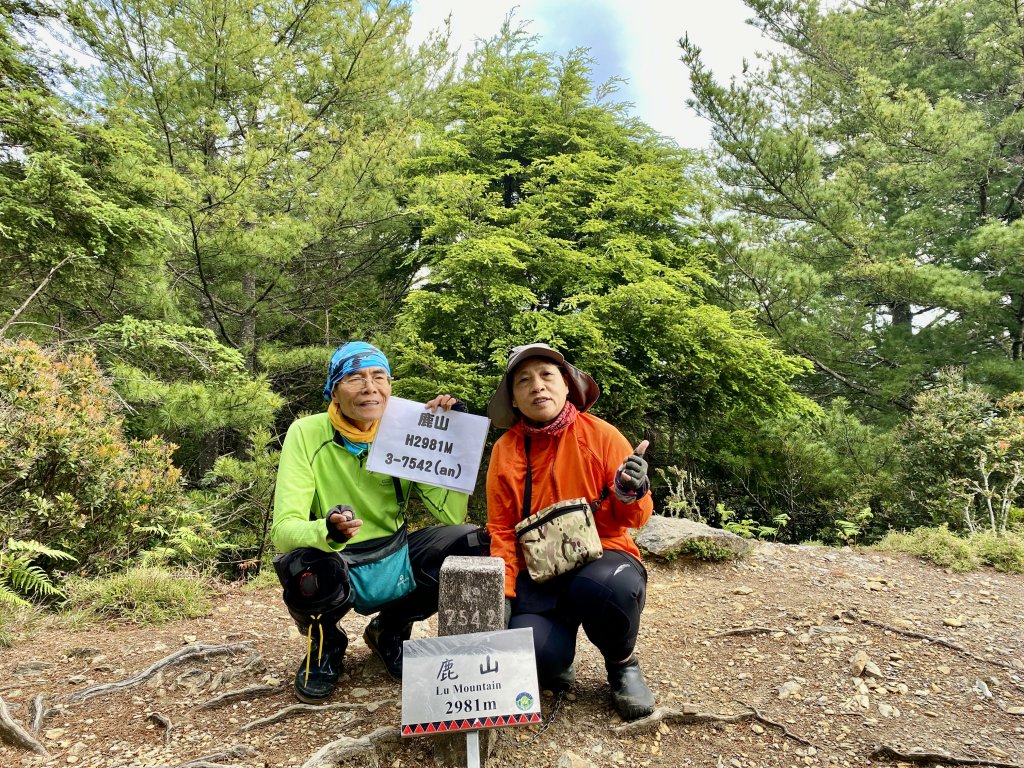 玉山後四峰--完登玉山群峰D2      2022/6/15封面圖