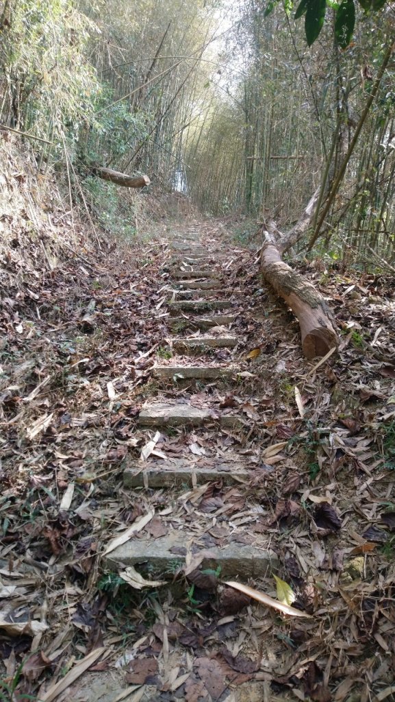 八通關古道社寮段_1276477