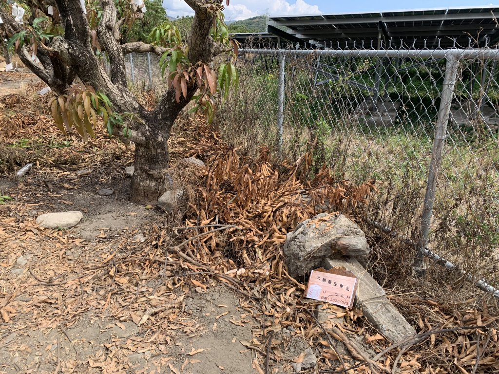 20250503屏東基石-大餉營庄東北_2781529