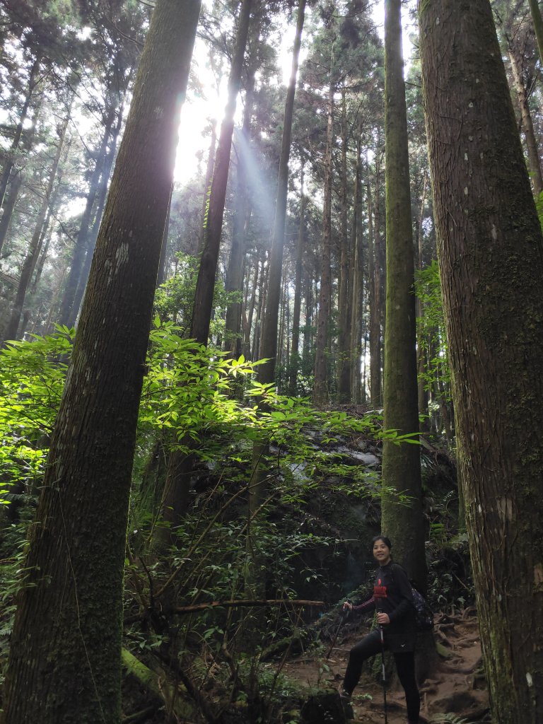 晴空加里山雲裡杜鵑嶺霧裡尋鐵道_1146734