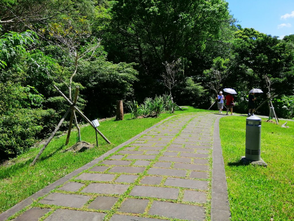 山系野遊~新北五股~步道悠閒走~林梢步道_1147061