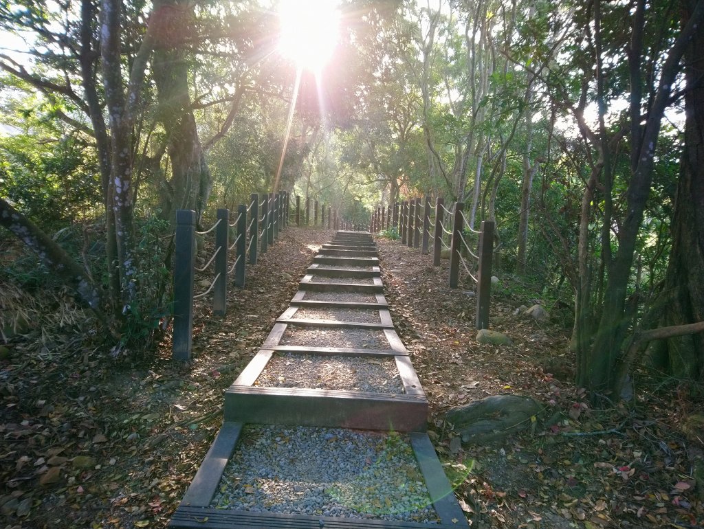 大坑步道全包一起登( 2 3維修)_747617